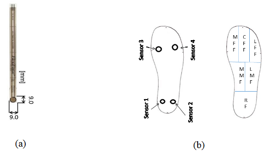 Figure 6 . (a) Piezoresistive Sensor  (b) In-sole sensors distribution (Measurement Position).
