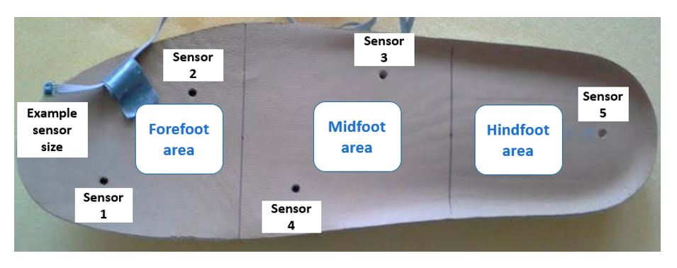 Figure 4. The five sensors were placed in insoles of both the left and right footwear, with the following division of the foot: two sensors for the forefoot, two sensors for the midfoot, and one sensor for the hindfoot. 