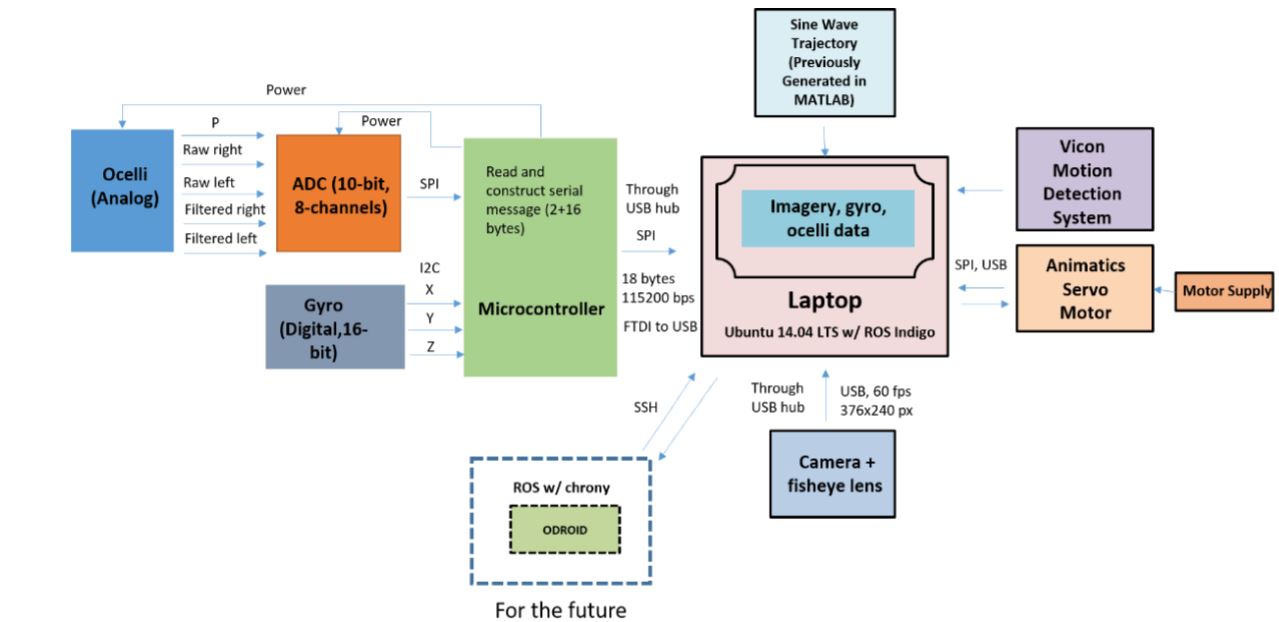 Figure 20: System block diagram: All the data collected is stored in laptop