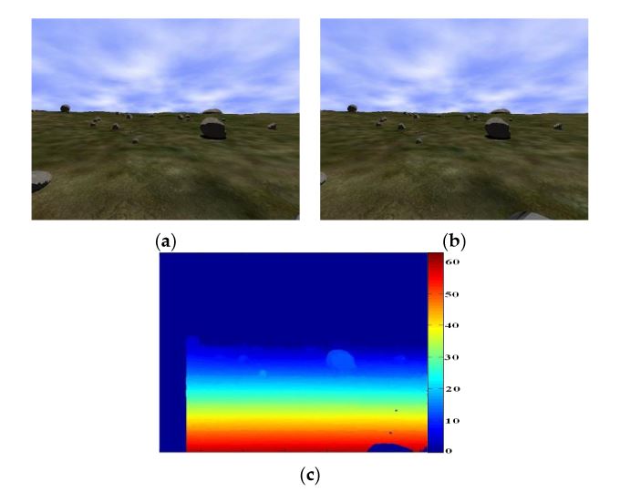 Figure 4. (a, b) Synthetic stereo images obtained from the simulated environment