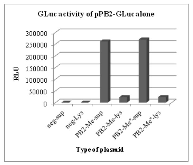 Figure 5.1: GLuc activity of pHW-PB2-GLuc alone. The supernatant and cell lysate from negative control 