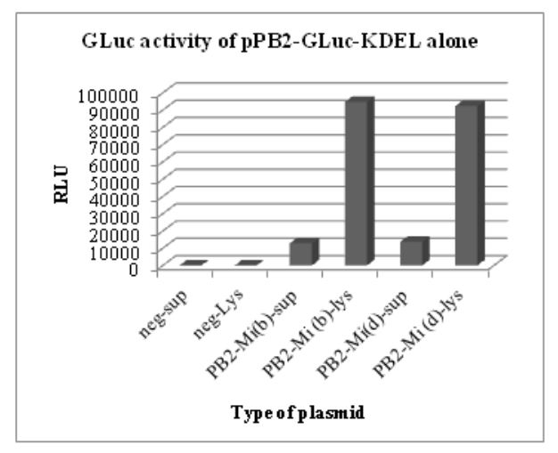 Figure 5.2: GLuc activity of pHW-PB2-GLuc-KDEL alone. The cell lysate and supernatant from negative control 