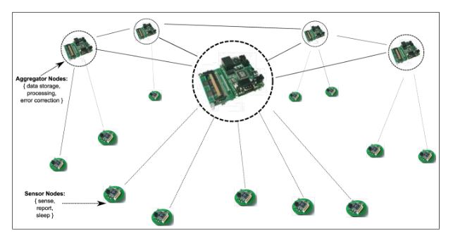 Figure 3.1: Network of sensor nodes and clusterheads