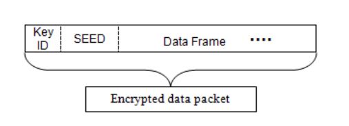 Fig 1. Data payload of a packet 