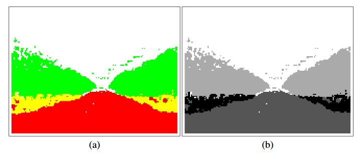 Figure 3. Classification image in color and gray scale representations