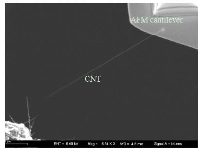 Figure 13. CNT picked up with AFM cantileve